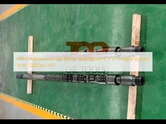 Imballatore recuperabile C dell'insieme meccanico di HPHT/esclusione integrata di W con 12000psi WP